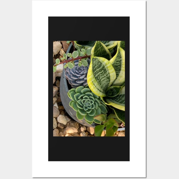 Succulent Beauties Wall Art by MarcyBrennanArt